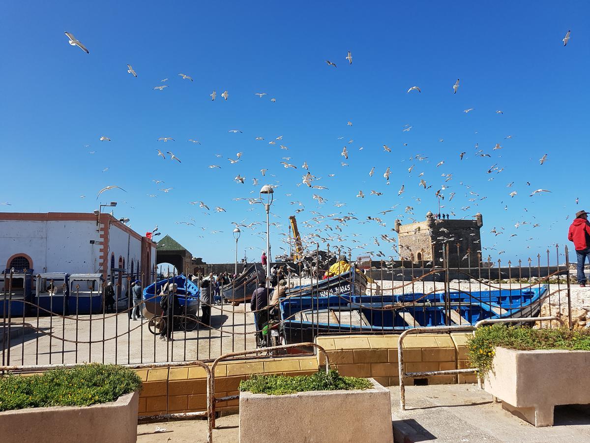 Riad Sidi Magdoul Εσαουίρα Εξωτερικό φωτογραφία