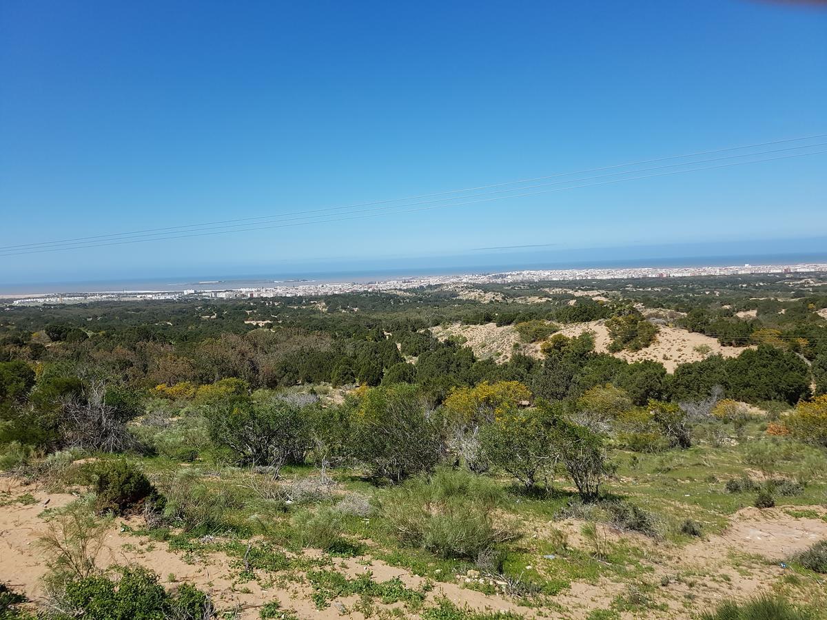 Riad Sidi Magdoul Εσαουίρα Εξωτερικό φωτογραφία
